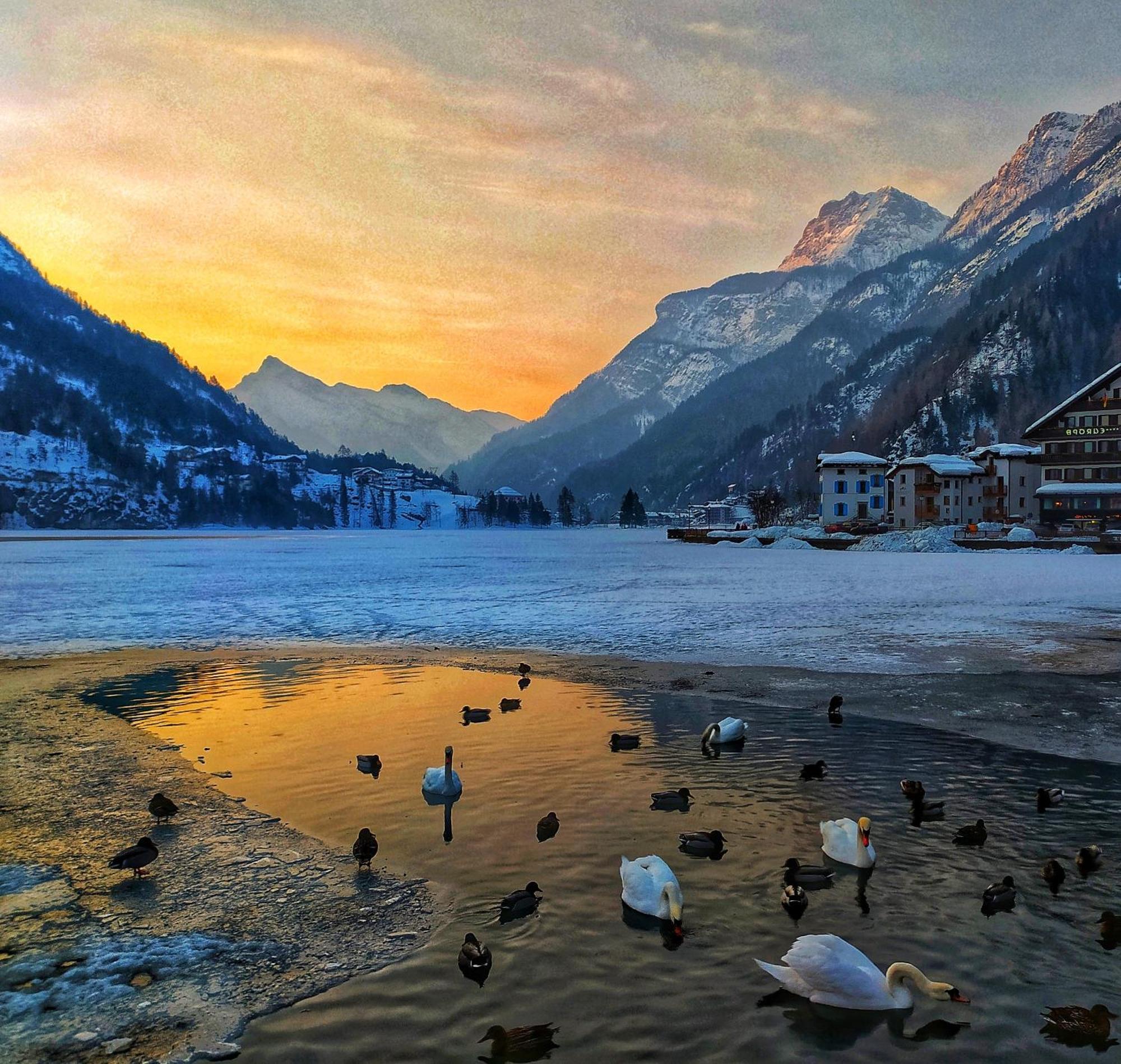 Naturae Lodge Wellness & Spa Alleghe Exteriér fotografie